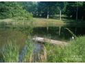 A pond with a small wooden dock and chair, surrounded by lush greenery at 404 Long Shoals Rd, Bessemer City, NC 28016