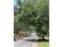 A beautiful street lined with mature trees, providing a scenic and peaceful neighborhood at 4103 Christine Ln # E, Waxhaw, NC 28173