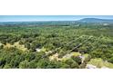 An aerial shot showcasing the property's boundaries surrounded by lush greenery and scenic views at 4905 Grassy Creek Rd, Denver, NC 28037