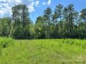 Scenic acreage with lush grasses and mature trees offers a private, peaceful setting for a new construction home at 1418 Samuel Spencer Pkwy, Davidson, NC 28036