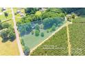 Aerial view of a residential property surrounded by lush greenery and adjacent to rows of evergreen trees at 155 Mcallister Rd, Statesville, NC 28625