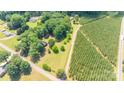 Aerial view of a residential property surrounded by lush greenery and adjacent to rows of evergreen trees at 155 Mcallister Rd, Statesville, NC 28625