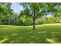 Expansive green lawn with mature trees offering shade and privacy at 2028 Old Latter Rd, Newton, NC 28658