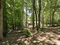 Beautiful light gray house with stone front nestled in the woods with mature trees and long driveway at 1711 Apple Tree Ln # 28, Fort Mill, SC 29715