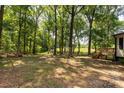 Secluded, wooded backyard, perfect for nature lovers, featuring mature trees and natural beauty at 6115 Campbell Rd, York, SC 29745