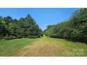 A green, grassy trail leads down a tree-lined path on the property under a clear blue sky at 11056 Us Highway 52 N Hwy, Wadesboro, NC 28170