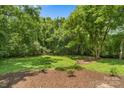 Expansive backyard with lush greenery, mature trees, and privacy, perfect for outdoor enjoyment at 727 W Main Street Ext, Lincolnton, NC 28092