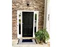 Elegant front door with sidelights, stone surround, and decorative potted plant at 4205 Springhaven Dr, Charlotte, NC 28269