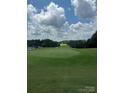 Scenic view of the pristine golf course, perfect for enthusiasts seeking a challenging and picturesque play at 4210 Holly Ne Cir, Conover, NC 28613