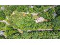 Expansive aerial view of lush property with mature trees, a winding driveway, and a well-maintained home at 2156 Wedgewood Dr, Matthews, NC 28104