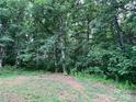 Image shows a densely wooded area with a mix of trees and greenery, partially cleared area in foreground at 6581 Emerald Isle Dr, Sherrills Ford, NC 28673