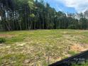 Homesite surrounded by trees, with erosion control fence, awaits your dream home at 1524 Conestoga Xing, Catawba, NC 28609