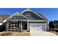 Gray exterior house with white garage door and landscaping at 106 N Dunlavin Way # 4, Mooresville, NC 28115