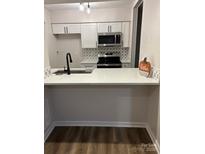 Modern kitchen with white cabinets, quartz countertops, and stainless steel appliances at 11052 Cedar View Rd, Charlotte, NC 28226