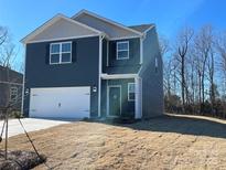 Two-story home with gray siding, white garage door, and landscaping at 362 Brinkley Dr # 142, Kings Mountain, NC 28086