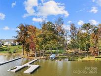 Scenic waterfront view with private dock, lush trees, and a glimpse of neighborhood homes in the distance at 25566 Seagull Dr, Lancaster, SC 29720