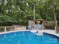 Inviting in-ground pool with a poolside bar perfect for entertaining in a private wooded backyard at 3107 Balkan Dr, York, SC 29745
