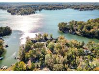 Stunning aerial view of lakefront homes surrounded by lush greenery and shimmering water at 1065 Gauguin Ln, Fort Mill, SC 29708
