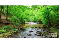 Beautiful creek with lush trees providing a natural and serene setting, ideal for nature enthusiasts and relaxation at 6156 Falls Ridge Trl, Sherrills Ford, NC 28673