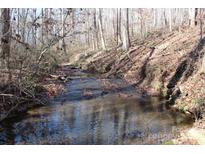 Small creek running through a wooded area at 338 Piney Grove Rd, Harmony, NC 28634