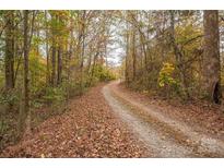 Long winding driveway through colorful wooded area of the property at 2073 Mauney Rd, Bessemer City, NC 28016