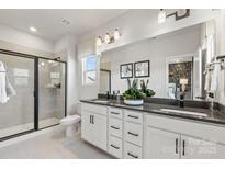 Elegant bathroom with double vanity, large shower, and modern fixtures at 2310 Donnelly Hills Ln, Charlotte, NC 28262