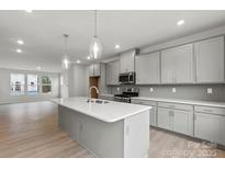 Modern kitchen with island, stainless steel appliances, and gray cabinets at 2314 Donnelly Hills Ln, Charlotte, NC 28262