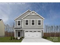 Two-story house with gray siding, white trim, and a two-car garage at 1705 Gutter Branch Dr, Charlotte, NC 28216