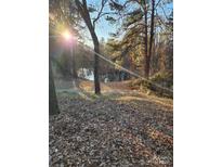 Beautiful wooded backyard overlooking serene lake waters under bright sunlight at 1721 Gold Hill Rd, Concord, NC 28025