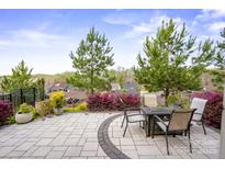 Gorgeous outdoor patio with dining and fire pit offers serene neighborhood views at 6289 Raven Rock Dr, Denver, NC 28037