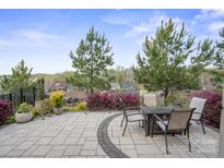 Spacious patio area with elegant stone pavers, a fire pit, and scenic neighborhood views at 6289 Raven Rock Dr, Denver, NC 28037