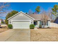 Charming single-Gathering home featuring a gray exterior, well-maintained landscaping, and an attached two-car garage at 10238 Highland Creek Cir, Fort Mill, SC 29707