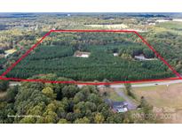 Expansive property featuring a dense pine forest and a tranquil pond; property border for reference only at 11001 Mount Holly Hntrsvlle Rd, Huntersville, NC 28078