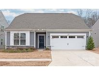 Charming single-story home featuring gray siding, stone accents, a two-car garage, and a well-manicured front yard at 12619 Belmont Mansion Dr, Charlotte, NC 28273