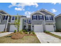 Charming townhome with gray siding, black shutters, and well-maintained landscaping at 8031 Downy Oak Ln, Charlotte, NC 28269