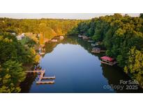 Aerial view of a tranquil lake lined with trees, featuring multiple boat docks and waterfront properties at 324 Bridgewater Ln, Mooresville, NC 28117