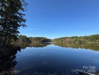 Scenic lake view with trees and clear blue sky at 13828 Lake Bluff Dr, Matthews, NC 28105