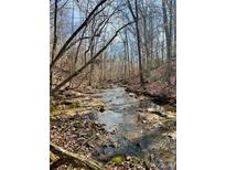 Scenic creek flowing through a wooded area, offering a tranquil and natural setting at 351 York Spann Rd, Hamptonville, NC 27020