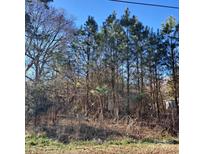 Image of a vacant land for sale featuring mature trees and natural undergrowth at 4115 James Lovelace Rd, Shelby, NC 28152