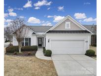 Charming single-story home with a two car garage, manicured lawn, and inviting entryway at 1001 Mesa Verde Dr, Fort Mill, SC 29707