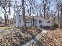 Charming home with a brick chimney, light blue door, and a walkway lined with lights at 10514 Lorelei Pl, Charlotte, NC 28227