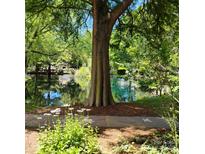 Scenic pond view with lush greenery and calm waters, creating a peaceful and serene atmosphere at 2545 Stockbridge Dr, Charlotte, NC 28210