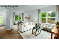 Bright living room featuring modern décor, large windows, and an open floor plan at 535 Trading Post Ln, York, SC 29745