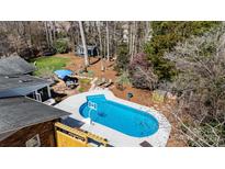 Aerial view of backyard oasis with a kidney-shaped pool, lounge area, and lush landscaping at 9417 Valley Rd, Charlotte, NC 28270