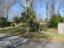 Charming brick home featuring a lush green lawn and mature trees at 215 Bailey Ave, Rock Hill, SC 29732