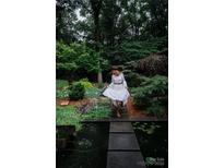 A stunning water feature accents lush backyard landscaping, creating a tranquil retreat at 4313 Kingswood Rd, Charlotte, NC 28226