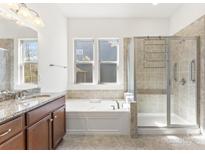 Bright bathroom featuring a soaking tub and tiled walk-in shower with glass door at 11037 Thornbeck Ln, Midland, NC 28107