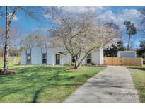Charming home with a well-manicured lawn, beautiful tree, and a long driveway, creating inviting curb appeal at 6201 Sellars Ct, Charlotte, NC 28211