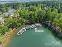A beautiful aerial view of the community boat slip with multiple boats docked and lush surrounding trees at 4599 Rustling Woods Dr, Denver, NC 28037