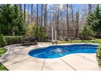 Beautiful in-ground pool with surrounding patio and outdoor seating at 270 Almora Loop, Mooresville, NC 28115